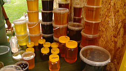 На Алтае сегодня отметят Медовый Спас