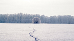 В алтайском селе чудом спасли девочку, которая в метель сбежала в лес