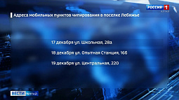 Жители пригородных посёлков Центрального района Барнаула могут маркировать своих собак