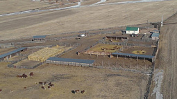 Как в Сибири решают проблему брошенных земельных участков?