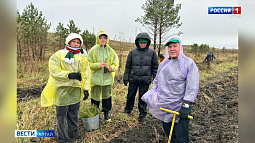 Районы Алтайского края: образовательные проекты, котельные, лесовосстановление