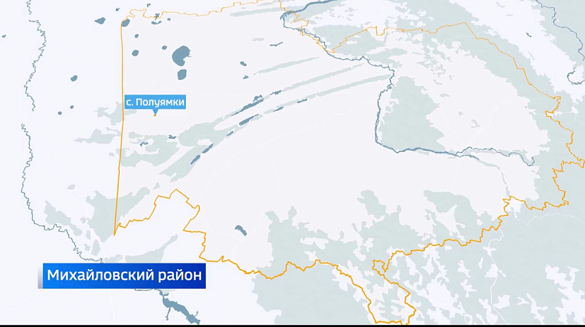 В Алтайском крае бешеная лисица проникла на одно из сельхозпредприятий и укусила телёнка