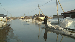 В Первомайском районе талые воды подтапливают жилые дома