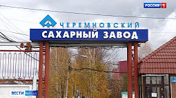 Черёмновский сахарный завод ежедневно отправляет в магазины по 400 тонн продукции
