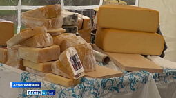 В селе Куяган открылась большая «Сырная деревня»