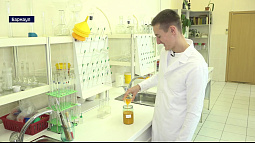 Студент АлтГТУ разрабатывает шампанское из алтайской облепихи как свой дипломный проект 