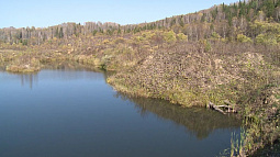 На Алтае закупают технику для лесовосстановления в труднодоступных таёжных зонах