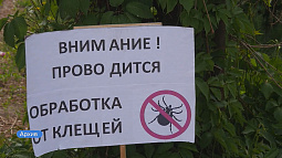 В Барнауле начали обрабатывать от клещей популярные места отдыха горожан