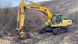 В Алтайском крае польза россыпной золотодобычи оказалась на уровне погрешности