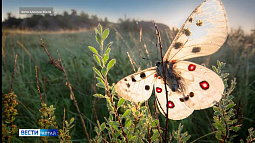 На Алтае появился новый природный памятник краевого значения