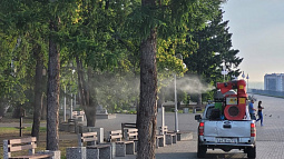 Комары будут доставлять меньше неудобств барнаульцам