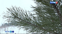 По югу Урала 6 января с большой скоростью промчится небольшой циклон, потеплеет