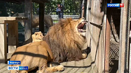 Трогательную встречу запечатлели сотрудники барнаульского зоопарка