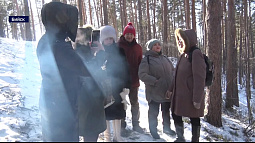 Жители Бийска продолжают самостоятельное расследование по вырубке в леса в квартале АБ