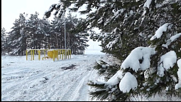 По Алтайскому краю пройдёт тёплый фронт, но ночью воздух начнёт выхолаживаться