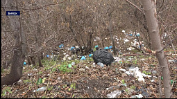 В Бийске прямо у Центральной городской больницы разрастается стихийная свалка