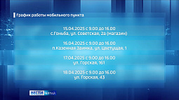 В Барнауле продолжают работу пункты выездной регистрации собак