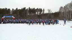 «Лыжню России» в Алтайском крае, скорее всего, проведут 19 февраля