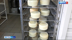 Сыроварня «Солоновкино» восстанавливается после пожара и готовит к дегустации новый продукт