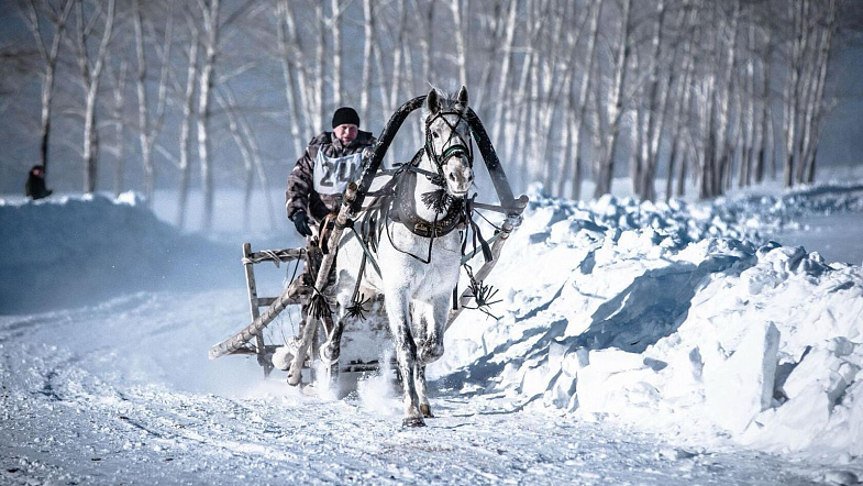 В Налобихе пройдут конные бега беспородных лошадей