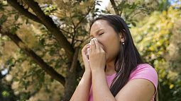 Жители Алтайского края теперь могут посмотреть активность аллергенов