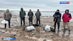 Благовещенский районный суд вынес приговор пяти жителям Новосибирской области