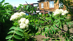 Село Большеугренёво отмечает 300-летие