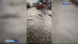 В Яровом и Славгороде ликвидируют последствия непогоды