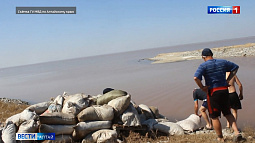 Житель Благовещенского района выловил в озере Кучук более трёх тонн цист артемии