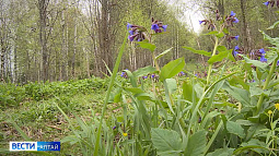 Сегодня в России отмечают День заповедников и национальных парков