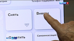 В Барнауле с начала года зарегистрировано почти 2000 преступлений, совершённых интернет-мошенниками
