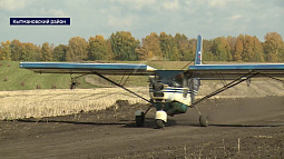 В Алтайском крае аграрии используют помощь с воздуха, чтобы ускорить созревание подсолнухов