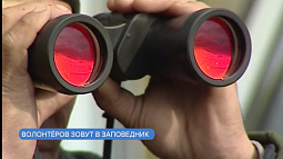 Тигирекский заповедник приглашает волонтёров для помощи в учёте мелких млекопитающих