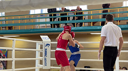 В Камне-на-Оби проходит первенство Алтайского края по боксу среди юношей и юниоров