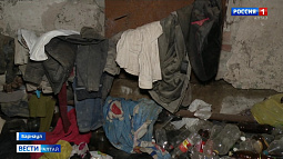 Жители бывшего общежития на Тимуровской живут в ужасных условиях: тараканы, мыши, бомжи, протекающая крыша 