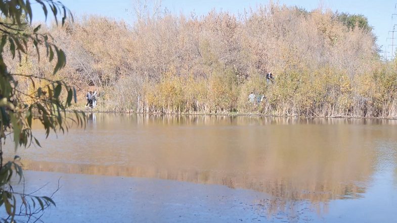 Барнаульцы очистили берег безымянного озера на улице Малахова