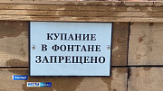 Почему нельзя купаться в фонтанах?
