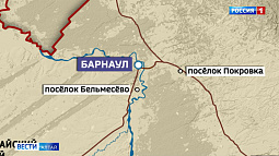 Бешенство уже в Барнауле: на территории Покровки и Бельмесёво введён карантин