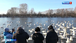 Как начался год в городах и районах Алтайского края?