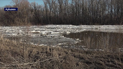 В Рубцовске на реке Алей, в районе плотины гидроузла, вскрыли лёд