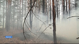 В шести районах края с 9 апреля объявлен пожароопасный сезон 