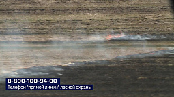 На территории Алтайского края введён особый противопожарный режим