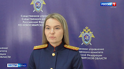 В Новосибирске погибла маленькая барнаульская девочка