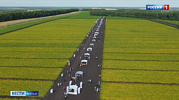 На Алтае впервые в Сибири провели «День сои»