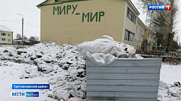 В алтайском селе уже два месяца не вывозят мусор с площадки около многоквартирного дома