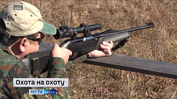 С сегодняшнего дня охотники Алтайского края могут получить разрешение на добычу дичи, кабанов, волков и медведей