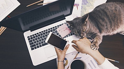 Запомните лучшие интернет-ресурсы для изучения делового английского