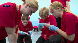 На чемпионате первой помощи в Барнауле школьники спасали пострадавшего самокатчика