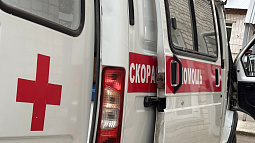 Первый в этом году случай укуса ядовитой змеи зафиксирован в Бийске