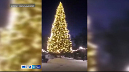 Видео с барнаульской ёлкой в парке «Изумрудный» вызвало восторг в соцсетях
